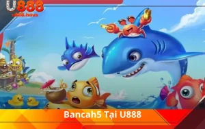 Bancah5 Tại U888