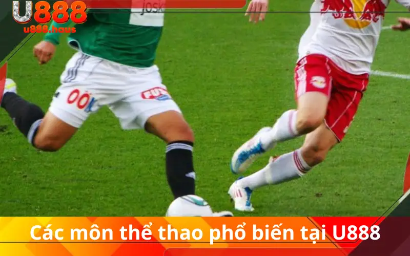 Các môn thể thao phổ biến tại U888