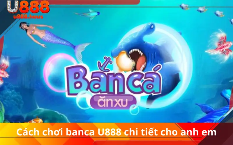 Cách chơi banca U888 chi tiết cho anh em