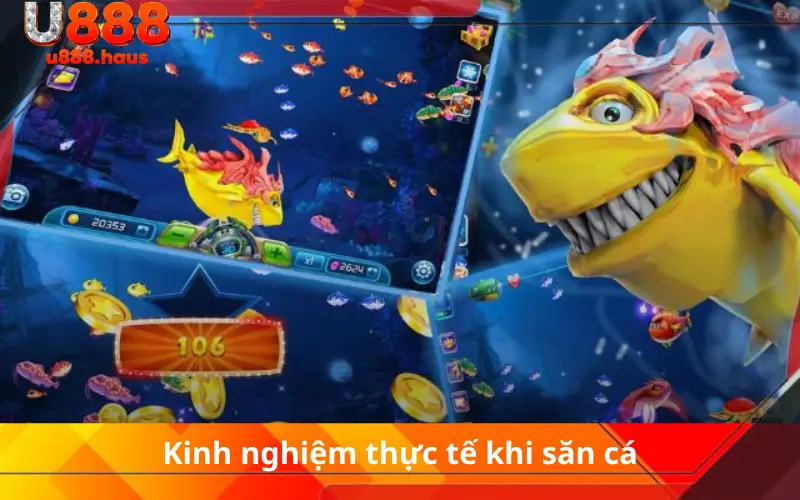 Kinh nghiệm thực tế khi săn cá