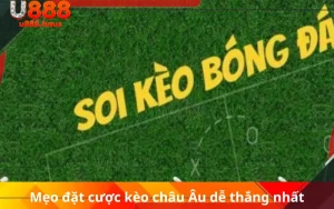 Mẹo đặt cược kèo châu Âu dễ thắng nhất