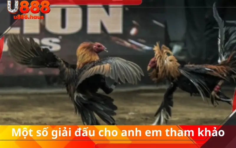 Một số giải đấu cho anh em tham khảo