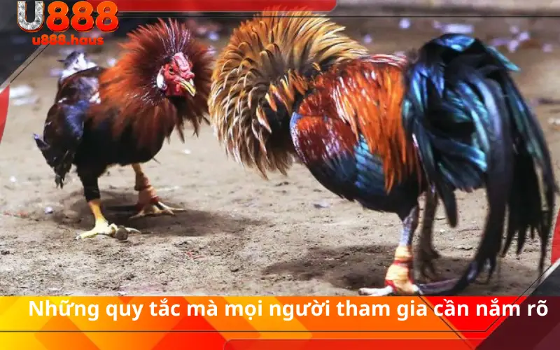 Những quy tắc mà mọi người tham gia cần nắm rõ