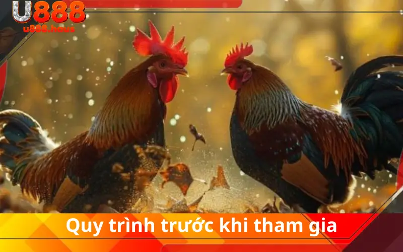 Quy trình trước khi tham gia